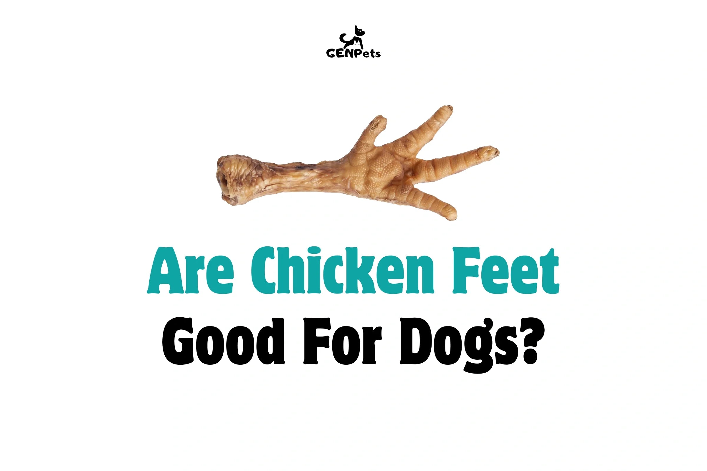 Chicken feet for dogs India natural joint health treat