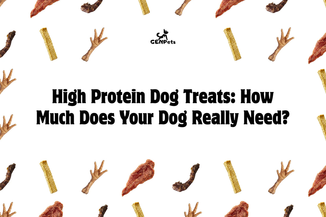 High Protein Dog Treats: How Much Protein Does Your Dog Really Need from Treats?