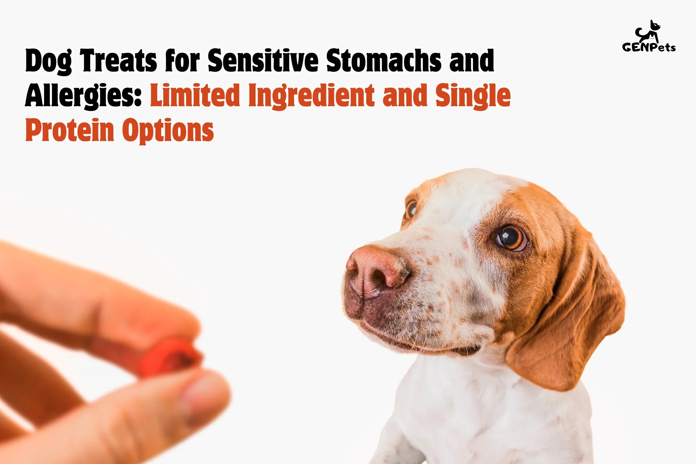 Dog Treats for Sensitive Stomachs and Allergies: Limited Ingredient and Single Protein Options