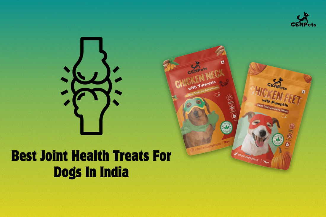 Best joint health treats for dogs in India supporting mobility and active lifestyles