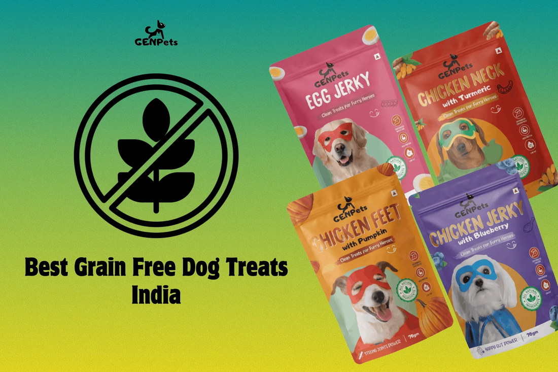 Best grain free dog treats in India made with chicken and egg