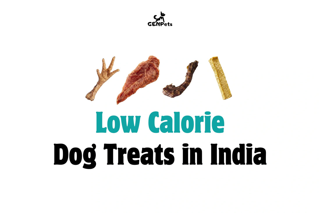 Low calorie dog treats in India for healthy weight management and training