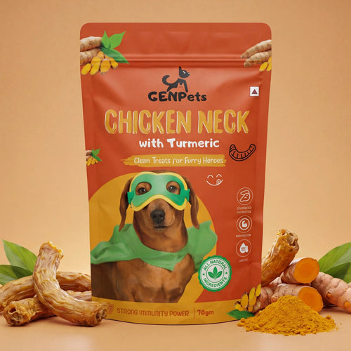 Chicken Neck with Turmeric Dog Treats (70 g) - MAIN IMAGE