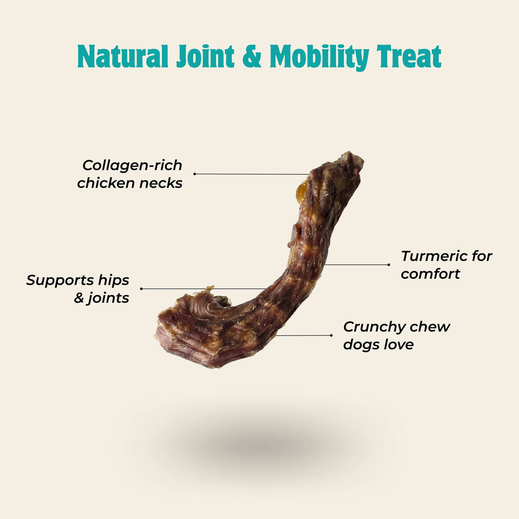 Chicken neck dog treats with turmeric for bone strength joint support and natural immunity