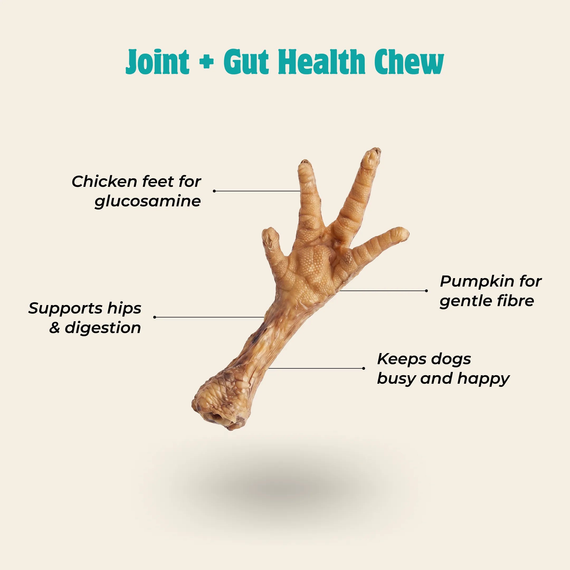 Chicken Feet with Pumpkin Dog Treats – Joints & Digestion Support
