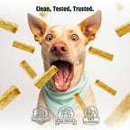 Natural egg jerky dog treats made with real eggs and clean ingredients for dogs